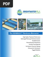 The MEMBRIGHTÂ® Membrane Bioreactor