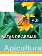 Razas de Abejas