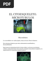 Citoesqueleto II. Microtubulos y Agrupaciones Complejas de Microtubulos