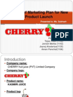 Project of Marketing Plan For New Product Launch