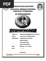 Informe de Fitopatologia