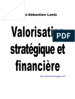 Valorisation Stratégique Et Financière