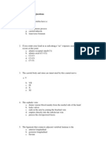 Head and Neck Test Questions