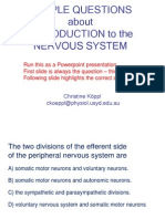 Nervous System - Quiz