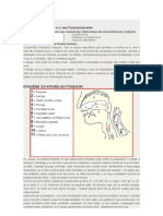 O Aparelho Fonador e o Seu Funcionamento