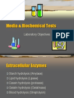 Media & Biochemical Tests: Laboratory Objectives