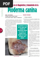 1215 Pioderma