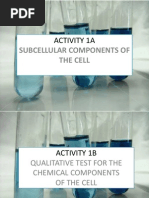 Biochemistry Activity 1a & 1b