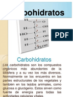 Exposicion de Bioquimica