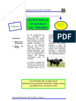 Estrategias de Manejo Del Ternero