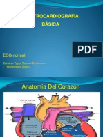 Electrocardiografía Básica: ECG Normal