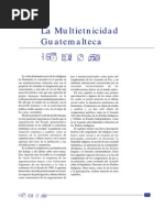 Capítulo VI - La Multietnicidad Guatemalteca