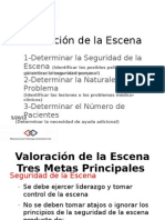 3-Evaluacion de La Escena-Triage