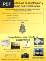 Métodos para La Colecta y Conservación de Invertebrados PDF