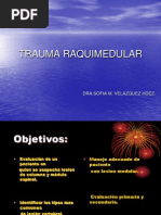 Trauma Raquimedular Presentacion Final