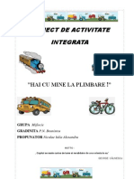 Proiect de Activitate Integrata