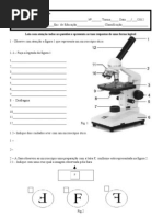 Teste - Microscópio - Reinos - Água