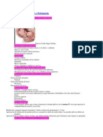 Anatomia de La Pelvis y Pelvimetria