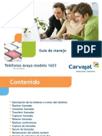 Capacitación Manejo Telefonos 1603