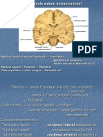 Parkinson Neuro