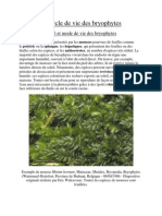 Le Cycle de Vie Des Bryophytes