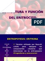 Estructura Del Eritrocito