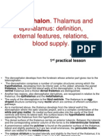 Diencephalon Thalamus and Epithalamus