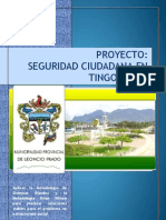 Seguridad Ciudadana de Tingo Maria MSB