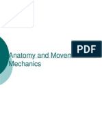 Anatomy and Movement Mechanics