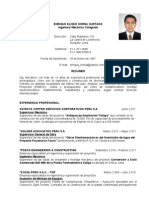 CV Enrique Horna