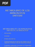 Metabolismo de Los Aminoacidos