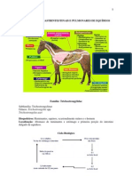 Aula 6 Resumo