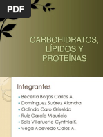 Carbohidratos, Lípidos y Proteínas