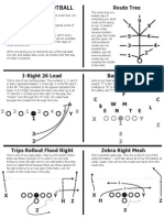 VarsityHandoutBack PDF