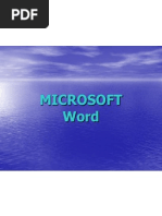 MS Word