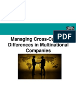 Managing Cross-Cultural Differences in A Multinational Company