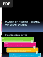 Anatomy of Tissues, Organs