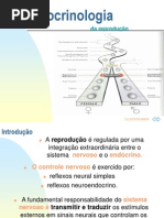 995 - Aula de Endocrinologia Da Reprodução