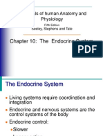 Essentials of Human Anatomy and Physiology: Chapter 10: The Endocrine System