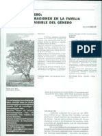 Familia y Genero Las Transformaciones en La Familia y La Trama Invisible Del Genero