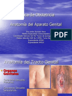 Anatomía Del Aparato Genital