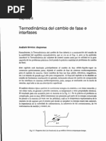 Termodinamica Del Cambio de Fase e Interfases