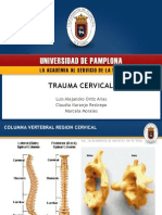 Trauma Cervical UCI