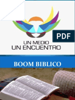 Boom Biblico