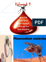 Presentasi Plasmodium Malariae