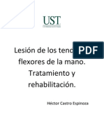 Lesion de Los Tendones Flexores Tratamiento y Rehabilitiacion