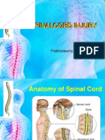 Spinal Cord Injury....