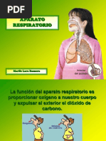 Aparato Respiratorio 52270 14860