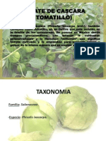 Tomatillo