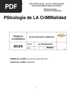 Psicologia D Ela Criminalidad